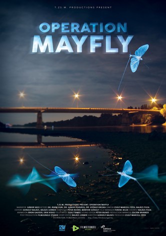 Operation Mayfly
