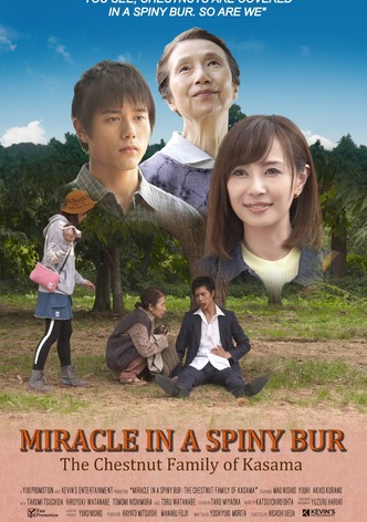 Miracle in Kasama