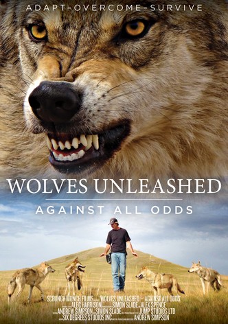 Wolves Unleashed: Against All Odds