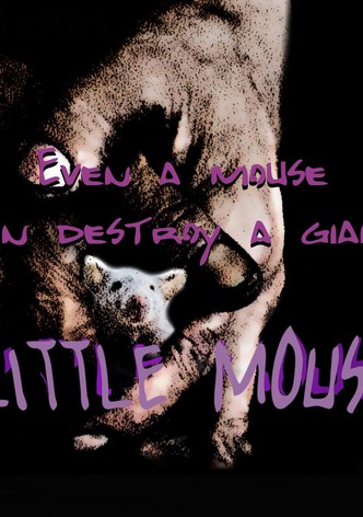 Little Mouse