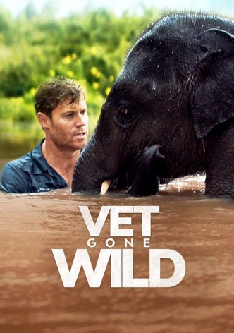 Vet Gone Wild