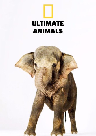Ultimate Animals