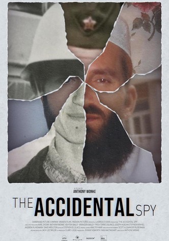 The Accidental Spy