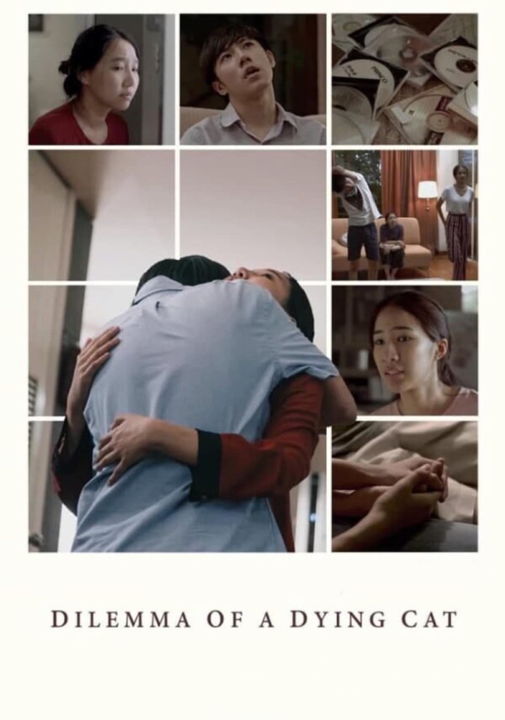 Dilemma Of A Dying Cat