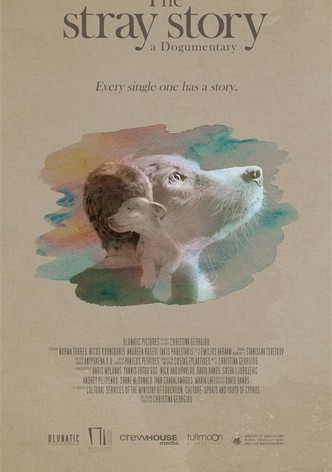 The Stray Story: A Dogumentary