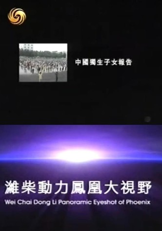 凤凰大视野：中国独生子女报告