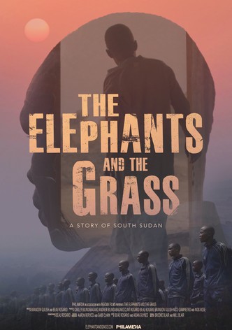 The Elephants and the Grass