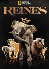 Reines - Saison 1