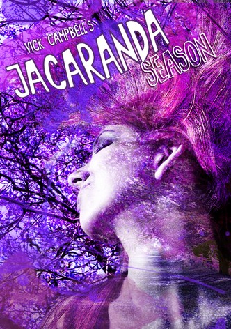 Jacaranda Season