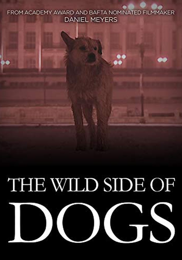 The Wild Side of Dogs