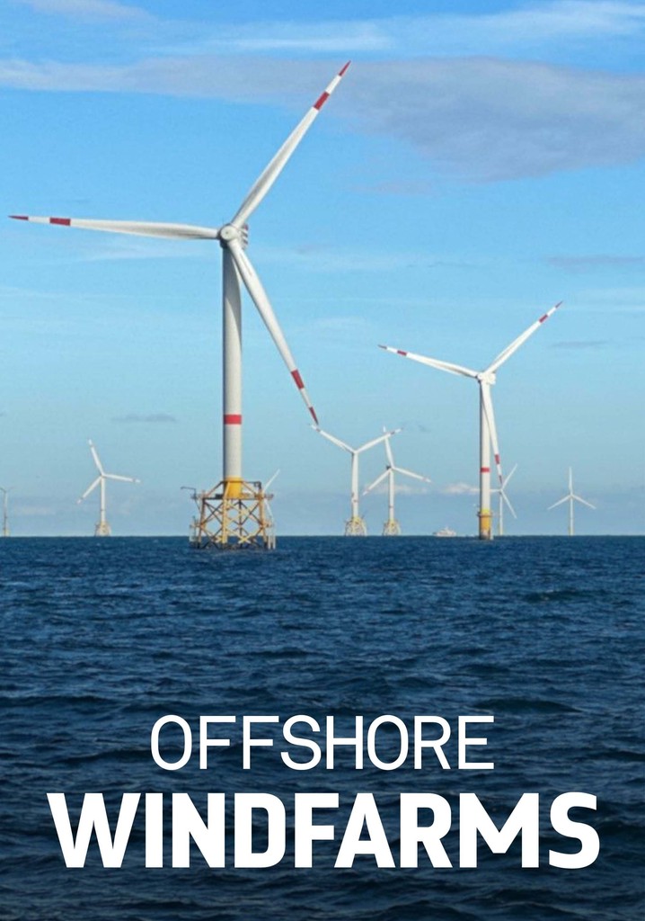 Windparks im Meer - Chance oder Risiko für die Natur?