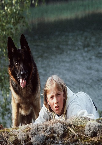 Susikoira Roi - Seikkailu saaristossa