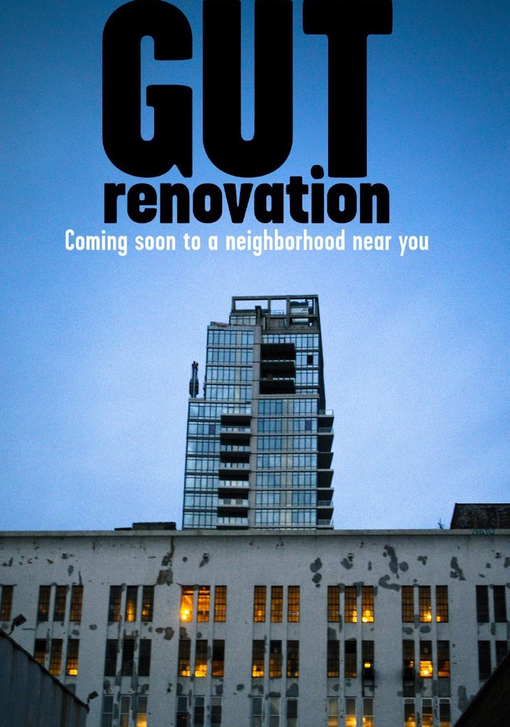Gut Renovation