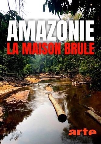 S.O.S. Amazonas: Apokalypse im Regenwald