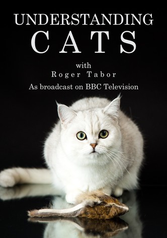 Understanding Cats