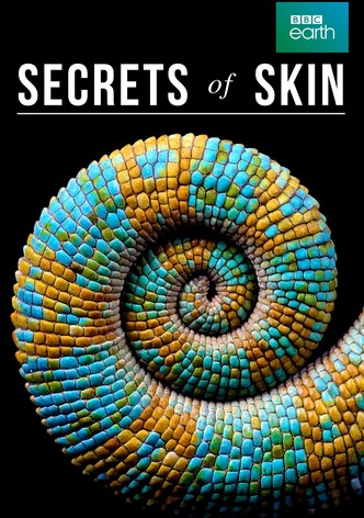 Secrets of Skin
