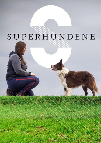 The Superdogs