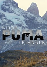 Into the Puma Triangle