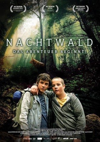 Nachtwald