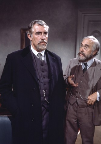 Die Münchner Räterepublik