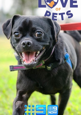 For the Love of Pets