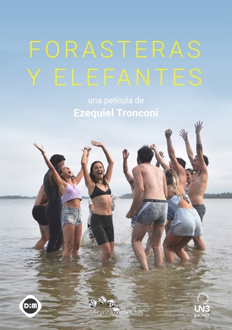 Forasteras Y Elefantes