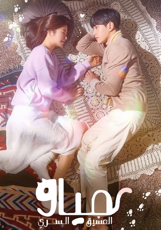 مياو العشق السري