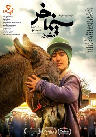 Cinema Donkey