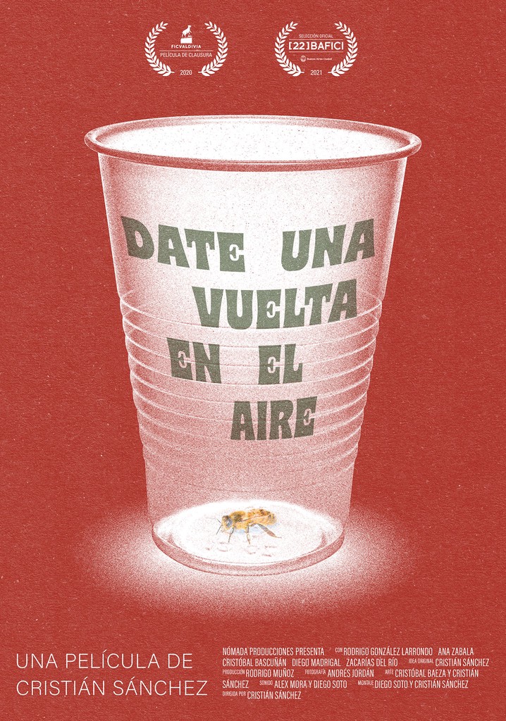 Date una Vuelta en el Aire
