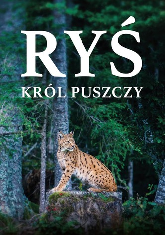 Ryś. Król puszczy