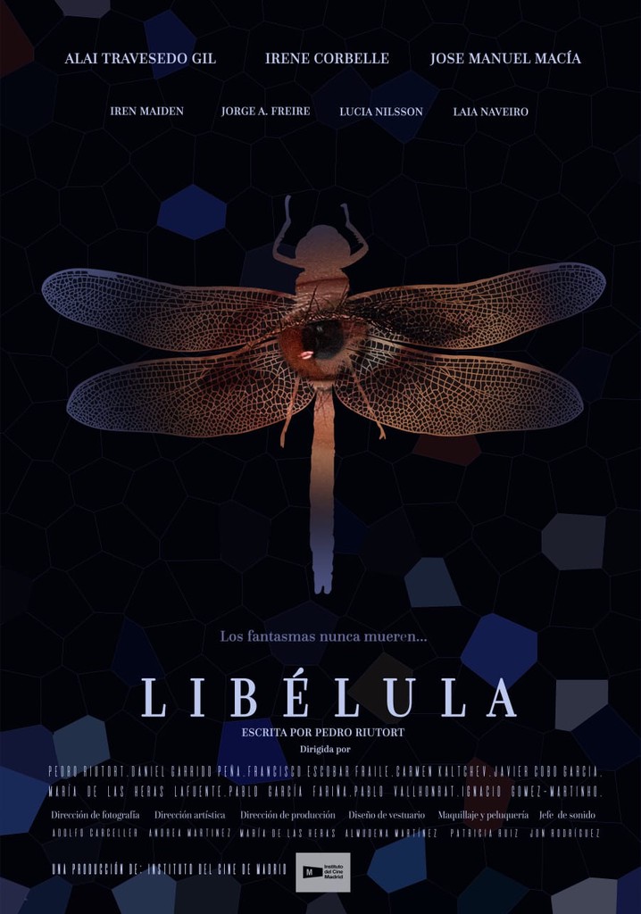Libélula