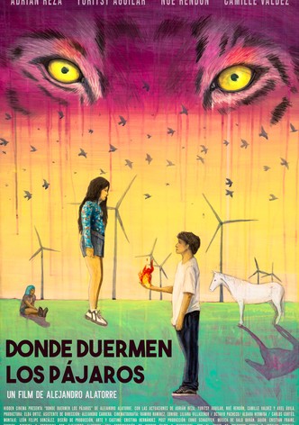 Donde duermen los pájaros