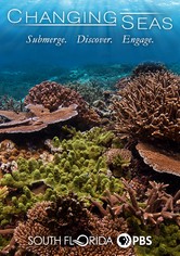 Changing Seas - Sezon 13