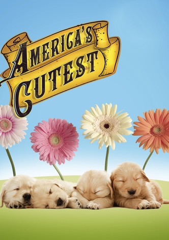 America's Cutest