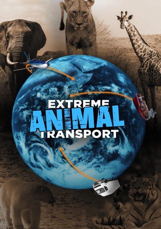 Tiertransporte XXL
