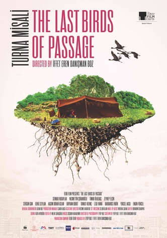 The Last Birds of Passage