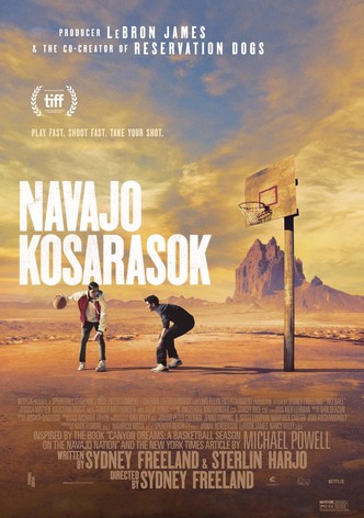 Navajo kosarasok