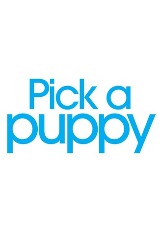 Pick a Puppy