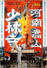 Shaolin Temple Strikes Back