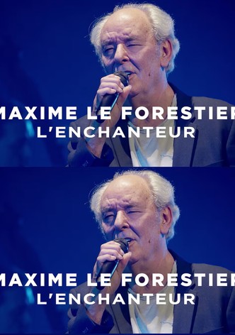 Maxime Le Forestier, l'enchanteur