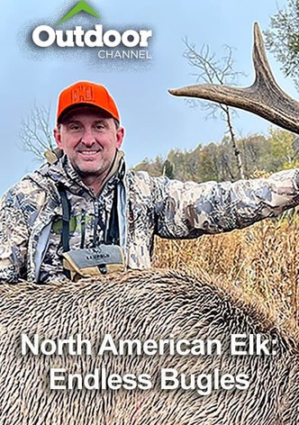 North American Elk: Endless Bugles