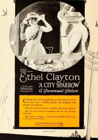 A City Sparrow