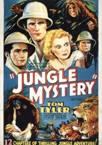 Jungle Mystery