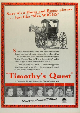 Timothy's Quest