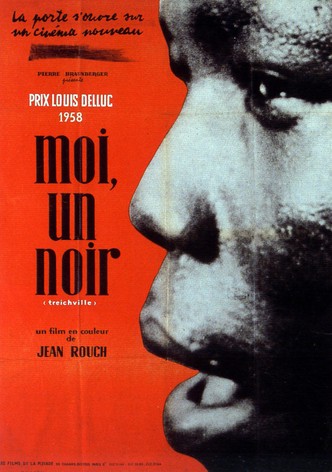 Moi, un Noir