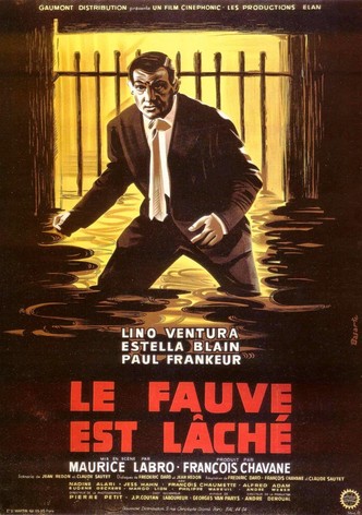 La fiera anda suelta