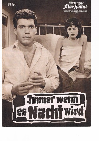 Immer wenn es Nacht wird