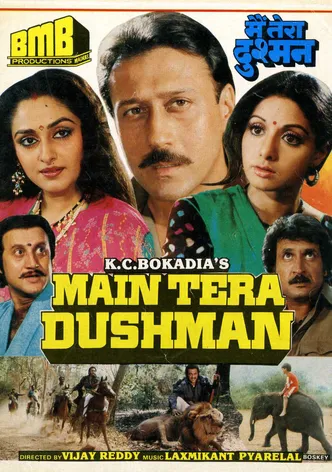 Main Tera Dushman poster