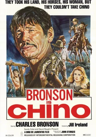 The Valdez Horses poster