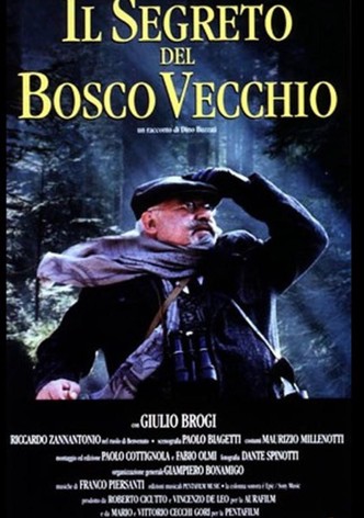 O Segredo do Bosque Velho